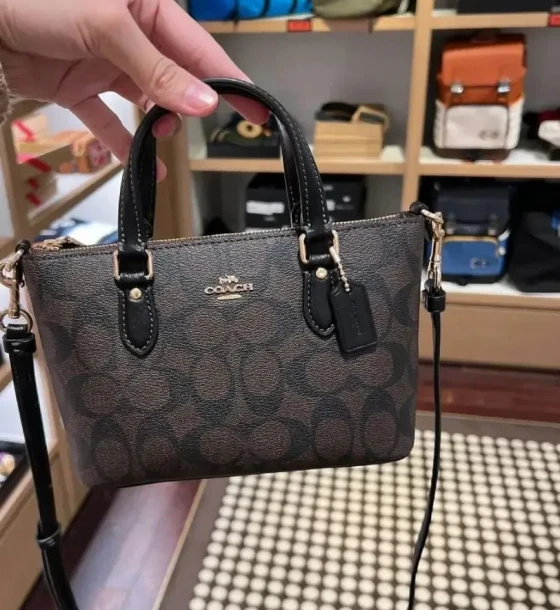 Coach Mini Gallery Bag first copy